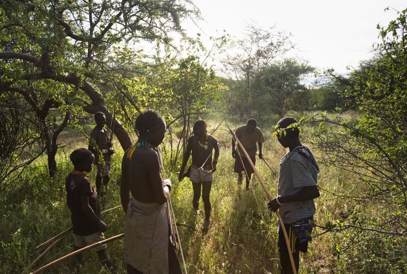 Hunting and Gathering