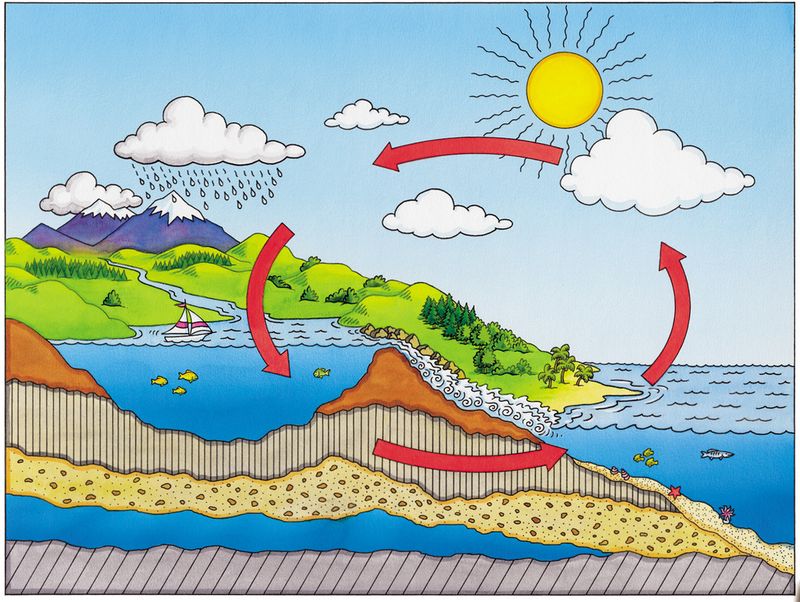 Science: The Water Cycle