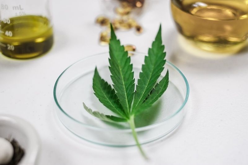 Cancer Treatment Aid