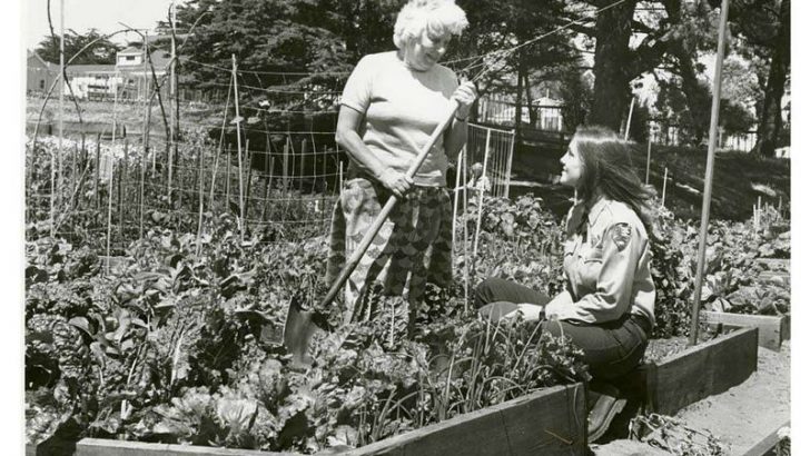 8 Weird Habits Everyone Had in the ’70s That Scientists Now Say Were Actually Genius