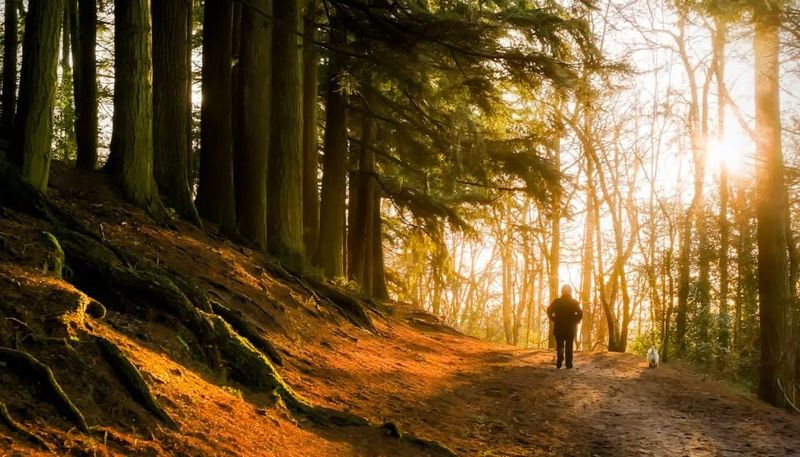 Exposure to Nature