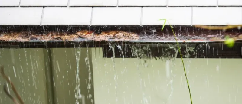 Neglecting Gutter Maintenance