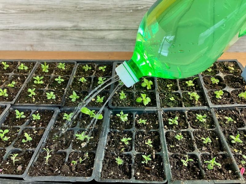 Watering Can Conversion