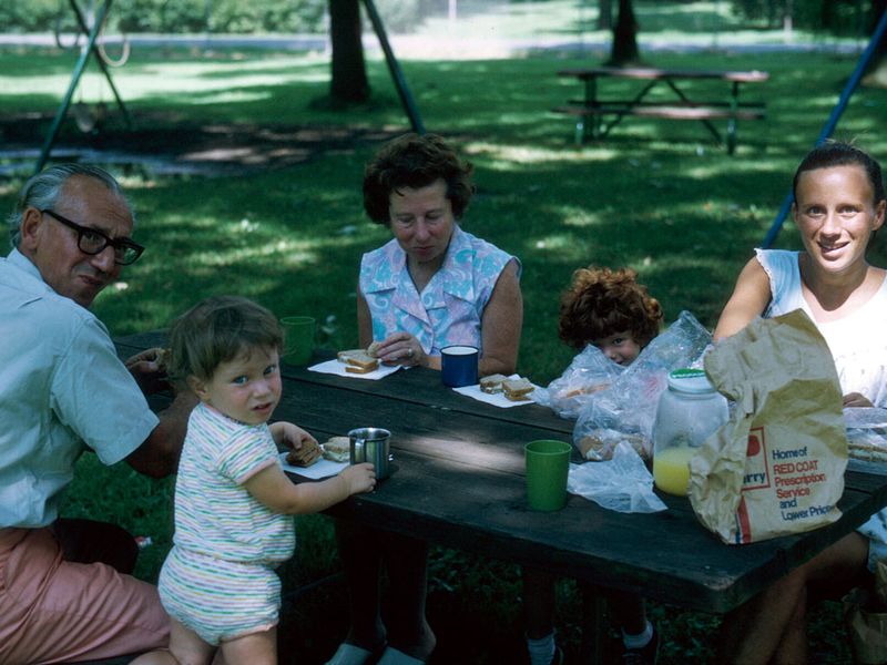 Picnic Lunches
