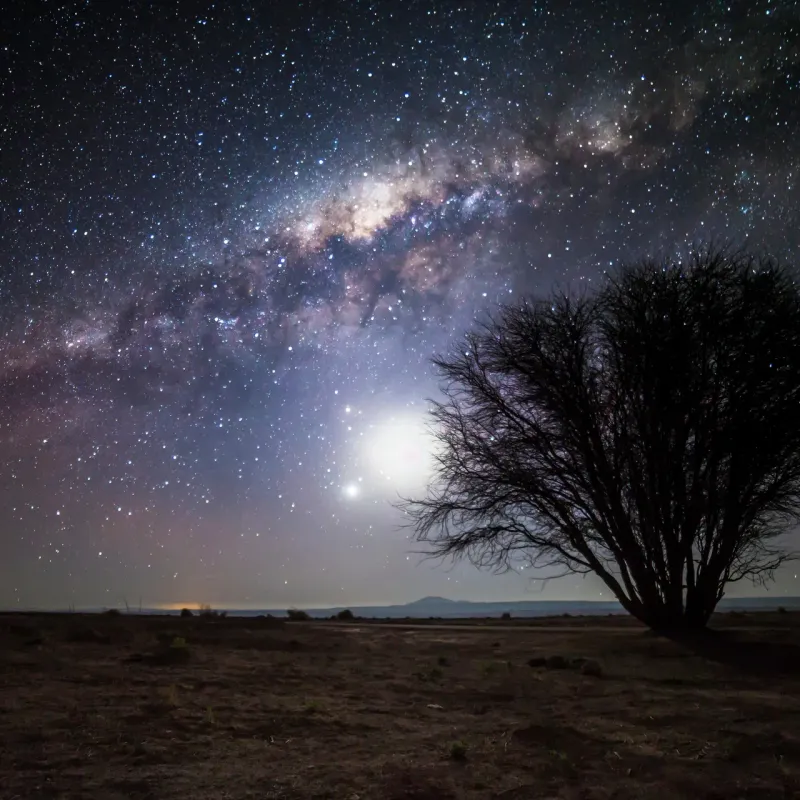 Stargazing