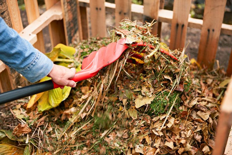 Composting for a Greener Future