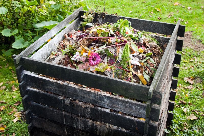 Homemade Compost
