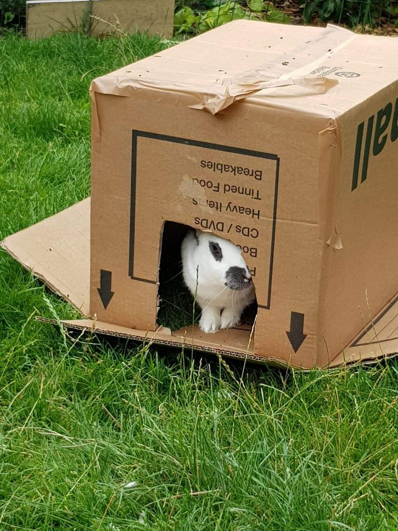 Hiding Away