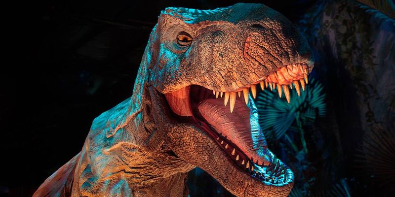 Dinosaurs Coming Alive