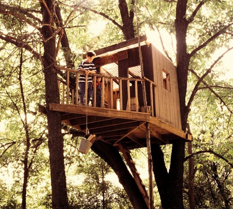 Building Treehouses
