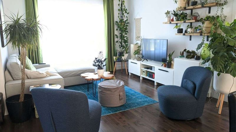 Indoor Plants