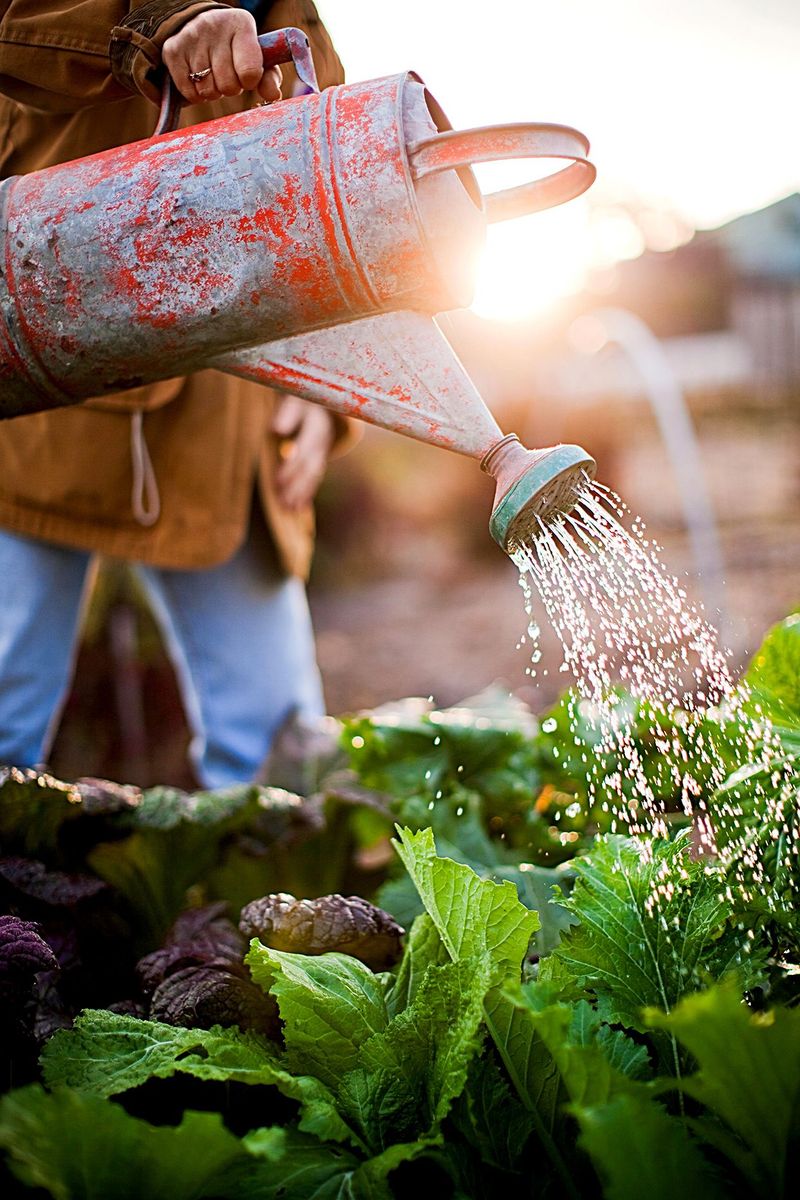 Gardening at Home