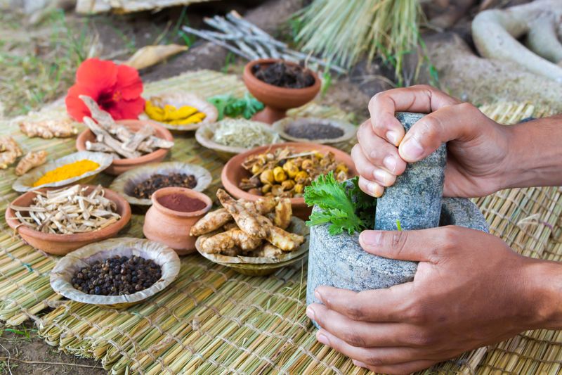 Herbal Medicine Crafting