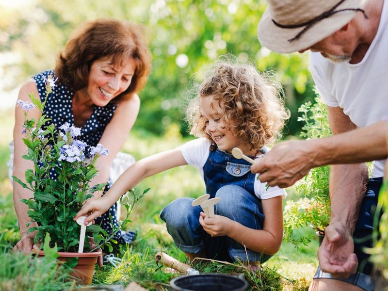 Create a Garden Together