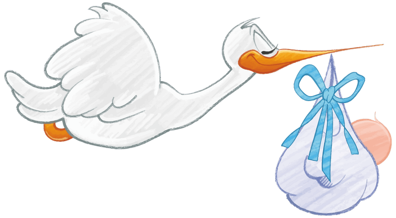 The Stork Delivers Babies
