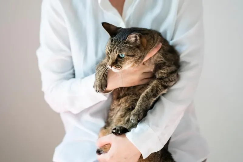 Unwillingness to Cuddle