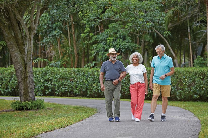 Taking Leisure Walks in Parks