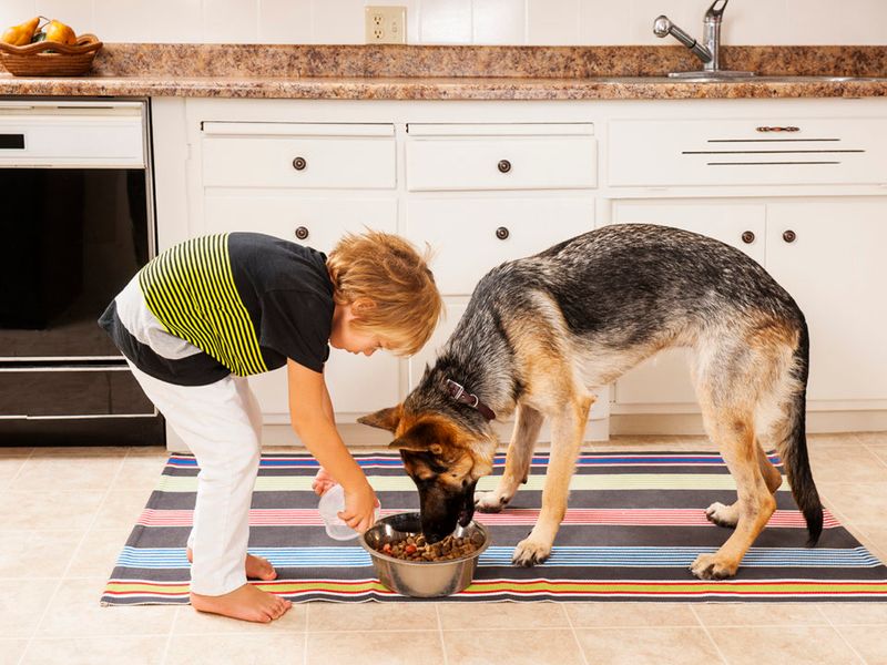 Feeding the Pets