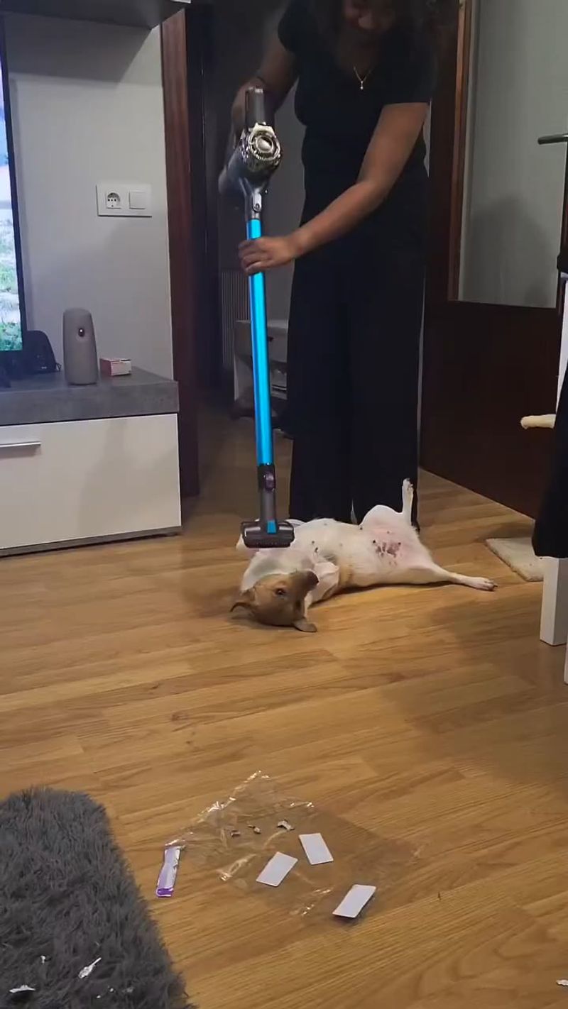 Vacuuming the House