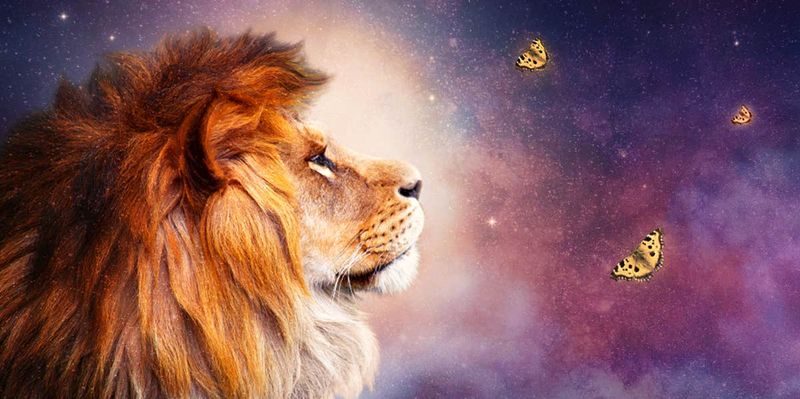 'A lion doesn’t need to roar to be respected.'