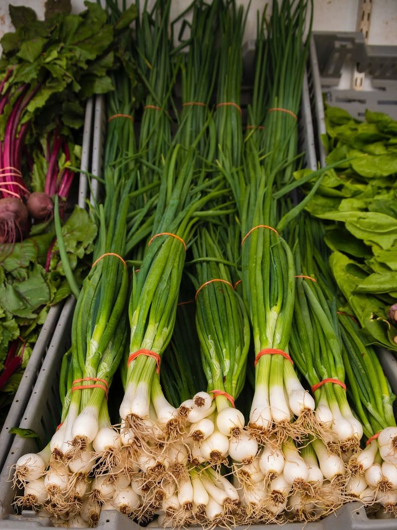 Spring Onions