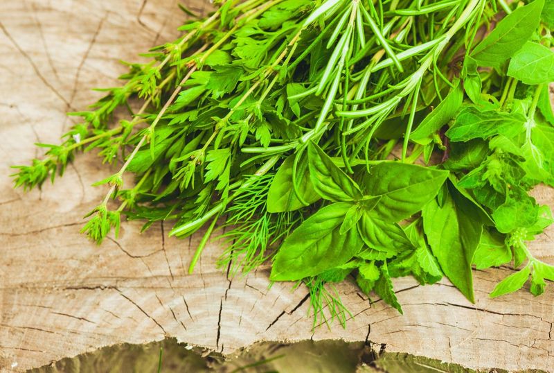 Aromatic Herbs