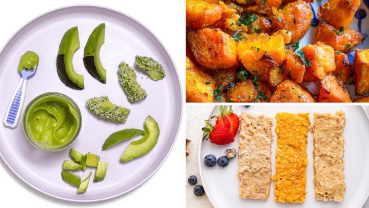 12 Trial Snacks For Babies 6-16 Months Old