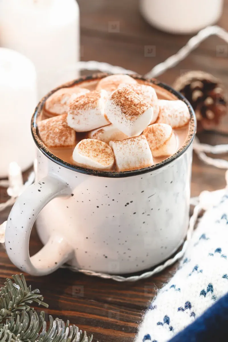 Hot Chocolate with Marshmallows