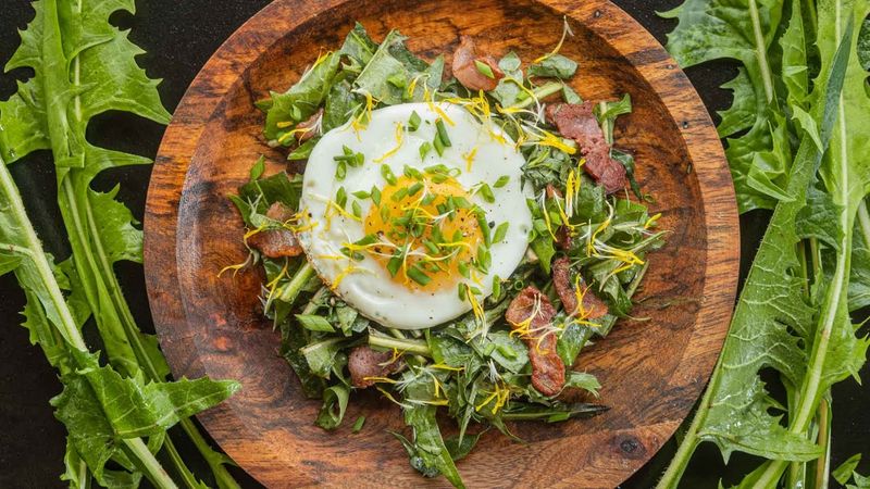 Dandelion Salad