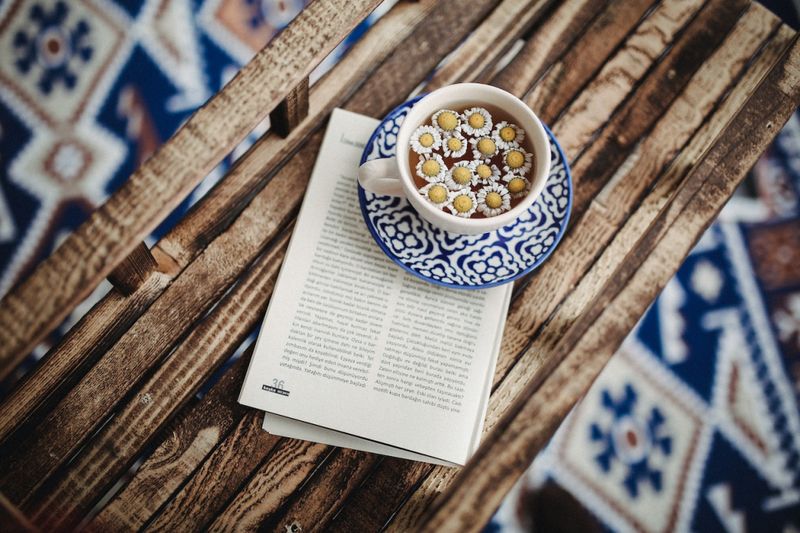 Day 7: Reflection and Celebration