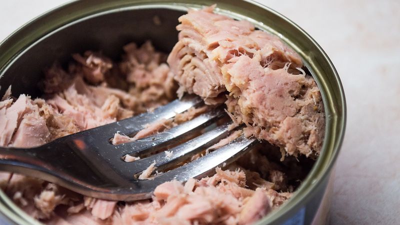 Canned Tuna
